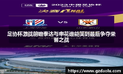 足协杯激战前瞻泰达与申花谁能笑到最后争夺荣誉之战